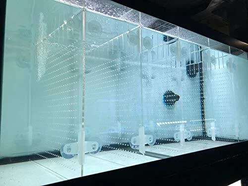 Acrylic Aquarium Divider Kit 5.5 /10 / 20L / 20H / 29 / 40B / 55 / 75gal Aqueon