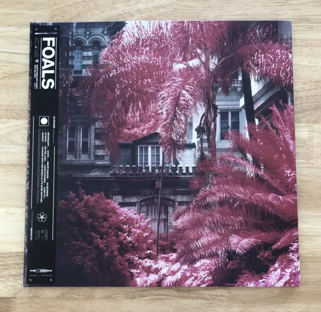Foals - Everything Not Saved Will Be Lost (part 1) Vinyl LP