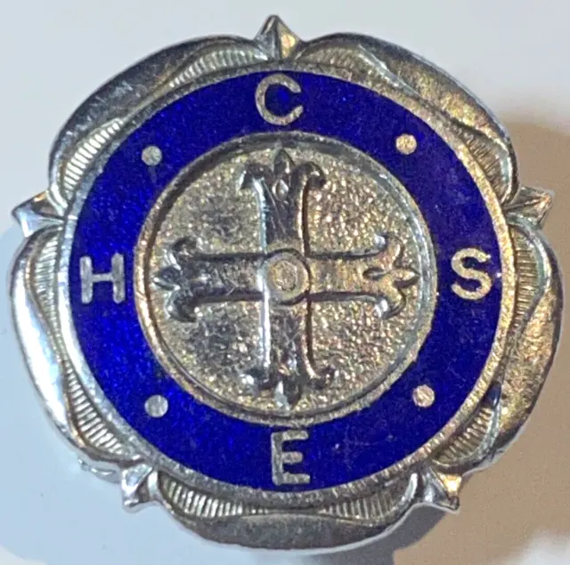 Vintage Enamel Badge CHSE Lapel Pin Confederation of Health Service Employees
