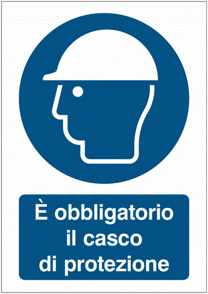Segno Obbligatorio Degli Occhiali Di Protezione Illustrazione