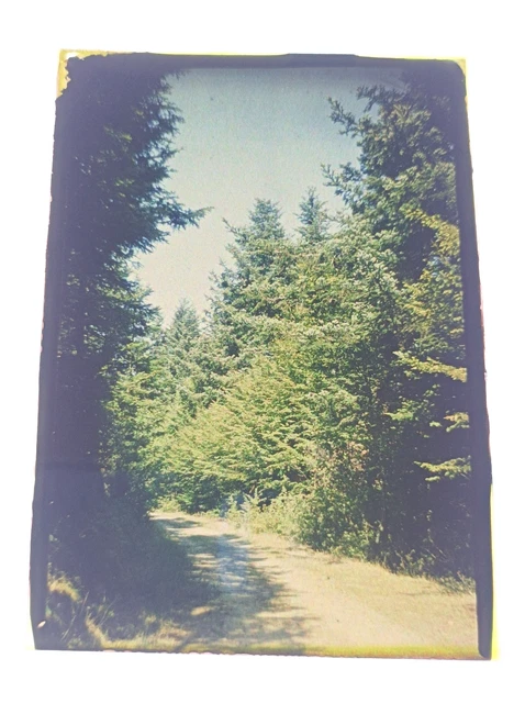 Other Vintage Photography, Vintage Photography, Cameras
