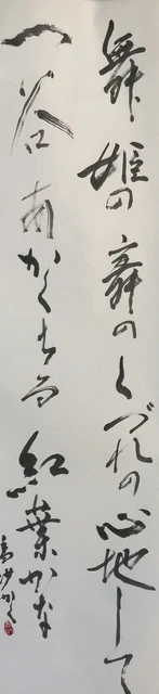 E0073 Japonés Colgante Rollo Kakejiku Vintage Mano Pintura Papel Caligrafía
