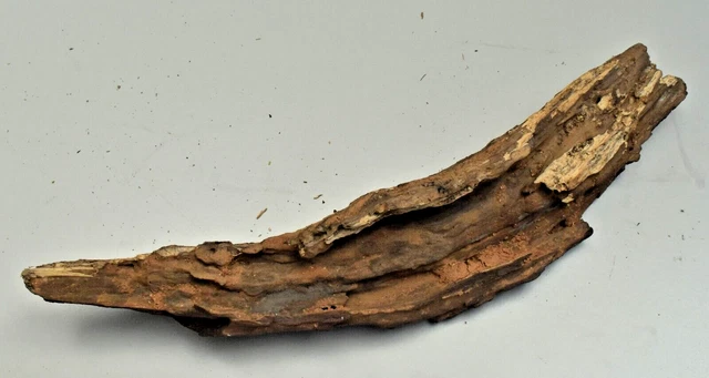 Driftwood Natural Tree Trunk Aquarium Fish Tank Reptile Deco Length 12 inches