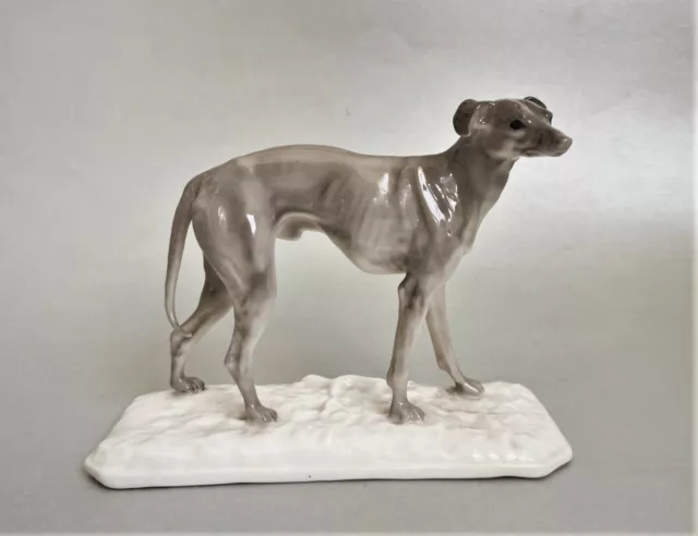 Porzellanfigur Windhund Galgo Figur FARBIG Nymphenburg Hund Porzellan J.P.Mene