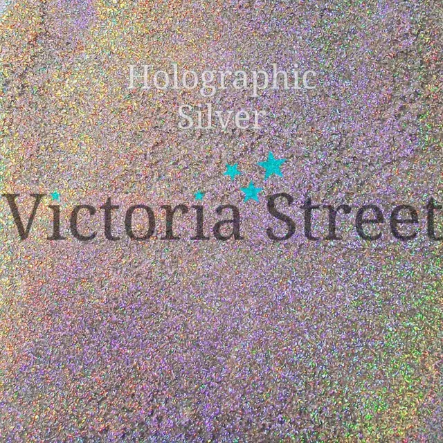 Victoria Street Glitter - Holographic Silver - Fine 0.008" / 0.2mm (Platinum)