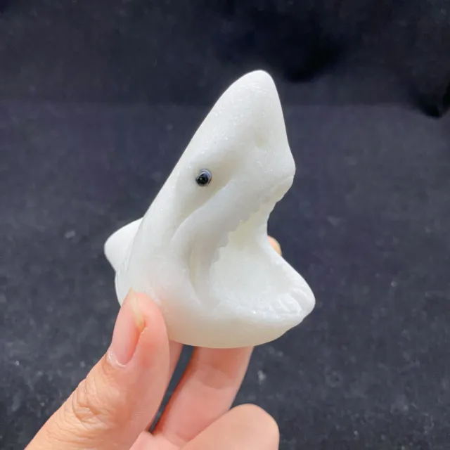 1PC Natural White Jade Shark Skull Hand Carved Quartz Crystal Reiki Healing Gift