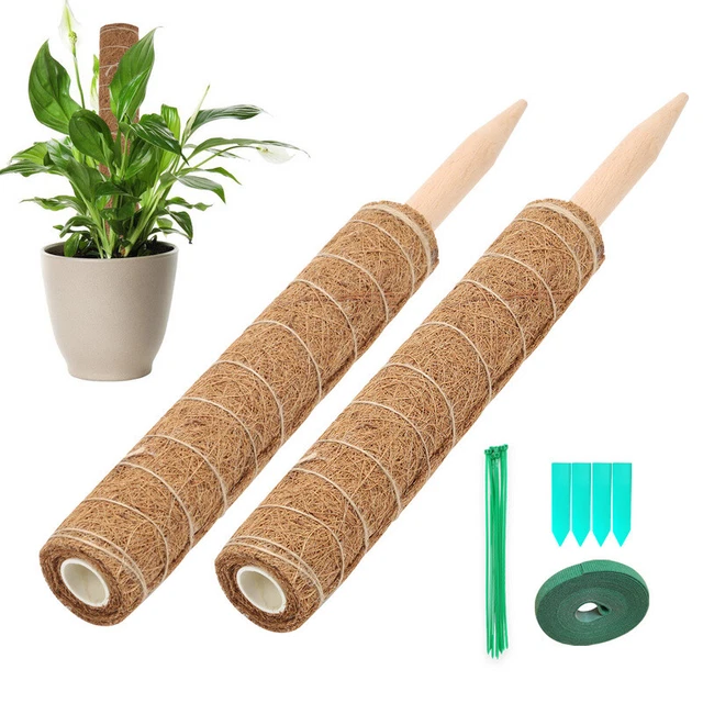 Pflanzstab Kokos Rankhilfe Moosstab Rankstab Blumenstab Ø 4.8cm 2er Set