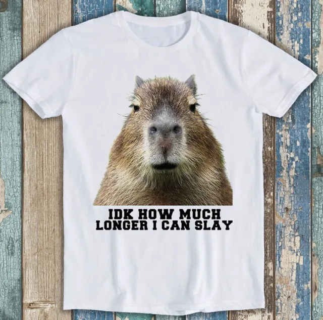Idk How Much Longer I Can Slay Capybara Sarcastic Dan Meme Gift Tee T Shirt 1066