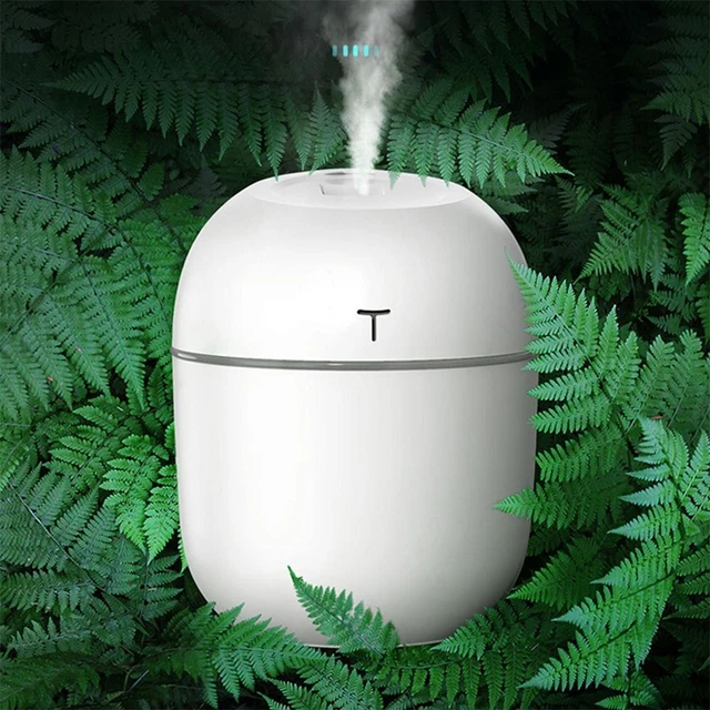 Diffuseur d'arôme Faiseur de brume Humidificateur d'air Purificateur d'air