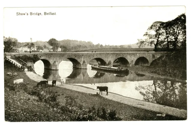 IRELAND - SHAW BRIDGE, BELFAST Johnson Postcard