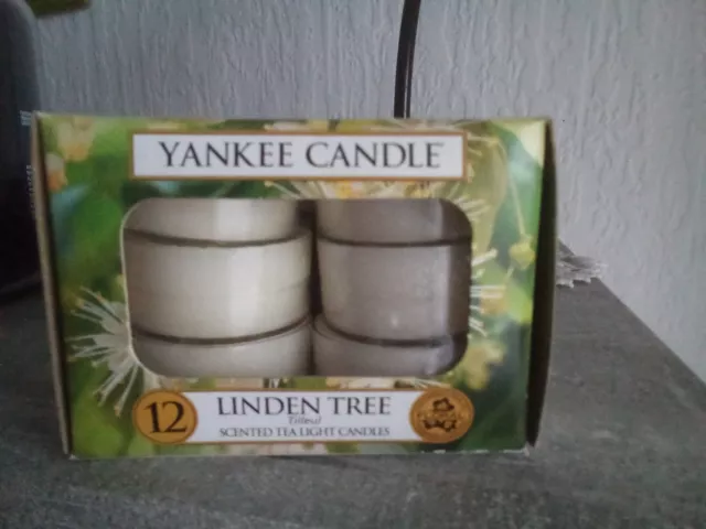 Yankee Candle Teelichter neu 12 Stk. linden Tree Rarität