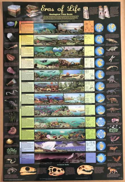 (LAMINATED) ERAS OF LIFE GEOLOGICAL TIME SCALE POSTER (61x91cm) PICTURE PRINT