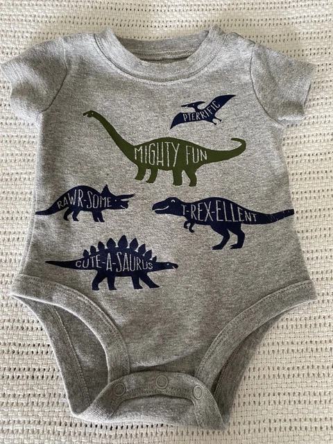 Carters Baby Boy Size 3 Months Green and Gray Dinosaur Pants Outfit 2