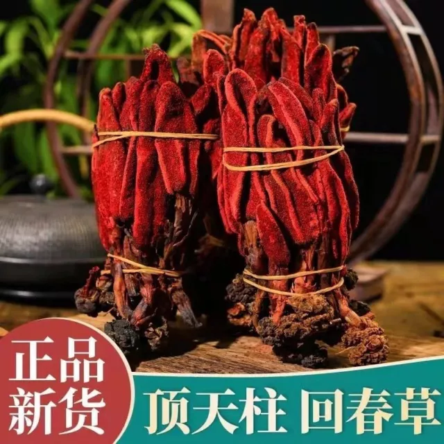 Rejuvenation Herb Tea Dingtianzhu Amaranth Cistanche and Ageless Grass Men's Tea