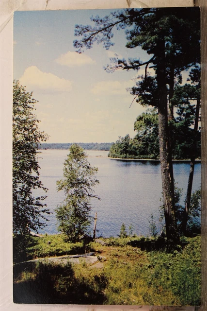 Scenic Lake Trees Postcard Old Vintage Card View Standard Souvenir Postal Post