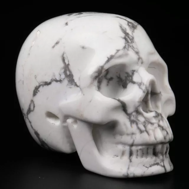2.0" Howlite Carved Crystal Skull, Realistic, Crystal Healing 2.0" Howlite Carved Crystal Skull, Realistic, Crystal Healing