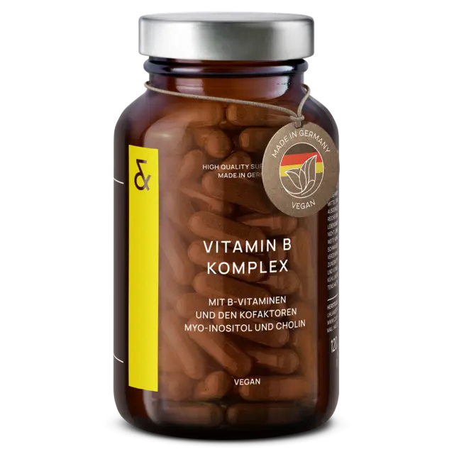 Vitamin B Komplex Hochdosiert - alle B-Vitamine Cholin & Inositol - 120 Kapseln