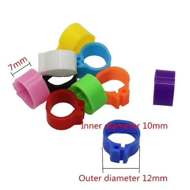 Entrena e identifica a tus palomas con 200 anillos de plástico para patas - 10 mm de diámetro