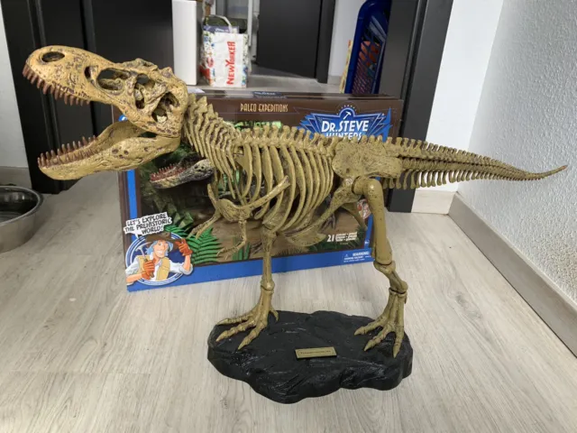 Tyrannosaurus Rex Skelett L 75 cm B 18 cm H 43 cm Vitrinenstück! Topzustand!