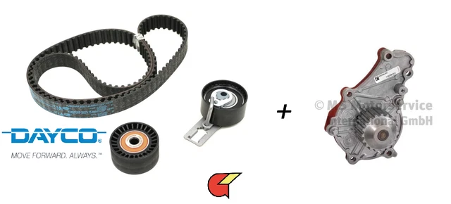 Kit Distribution Avec Pompe à Eau SKF VKMC 01121-1 | MISTER