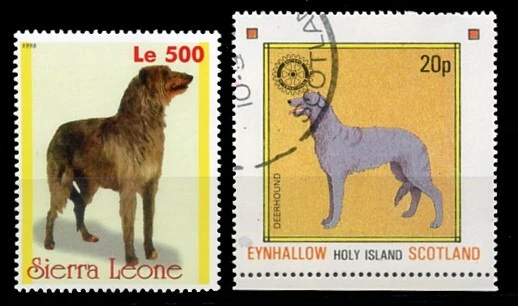 DEERHOUND SCOTTISH DOG INTERNATIONAL BREED POSTAGE STAMPS x 2 different