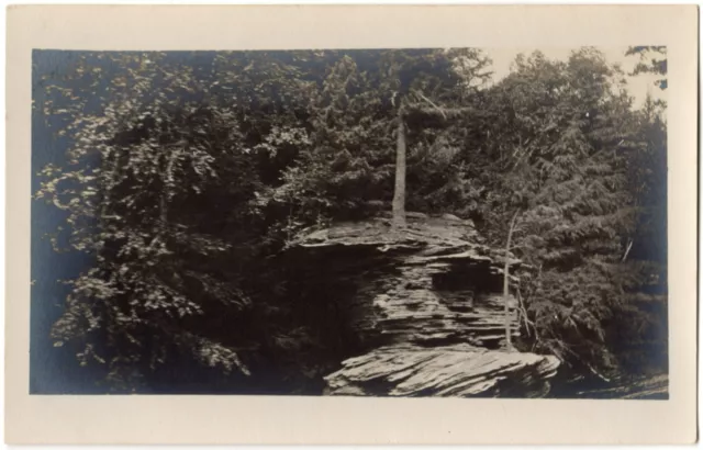 DELLS, WISCONSIN RIVER RPPC Shore at Pines Resort Real Photo Postcard WI 1914