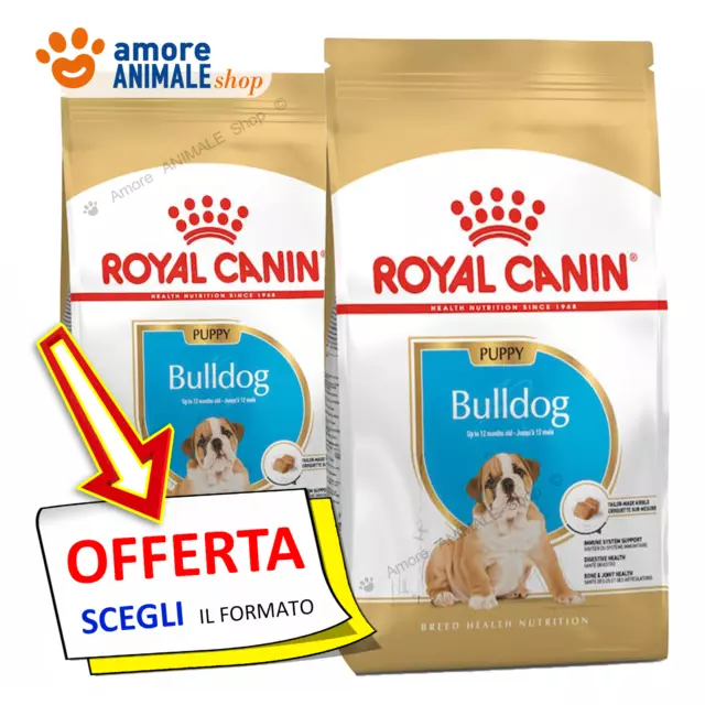 Royal Canin Dog → Puppy, BULLDOG - 3 / 12 kg - Crocchette Cane, Secco Per Cani