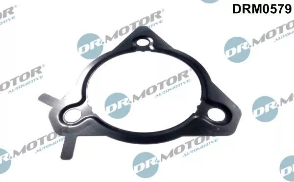 Dr.motor Automotive Drm0579 Dichtung Einspritzpumpe für Ford Focus + II + 98-12