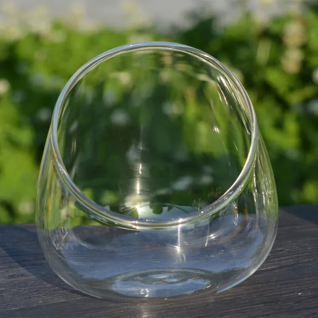 Glass Vase Micro Landscape Bottle Vases for Decor Terrarium Bowl Clear Flowers