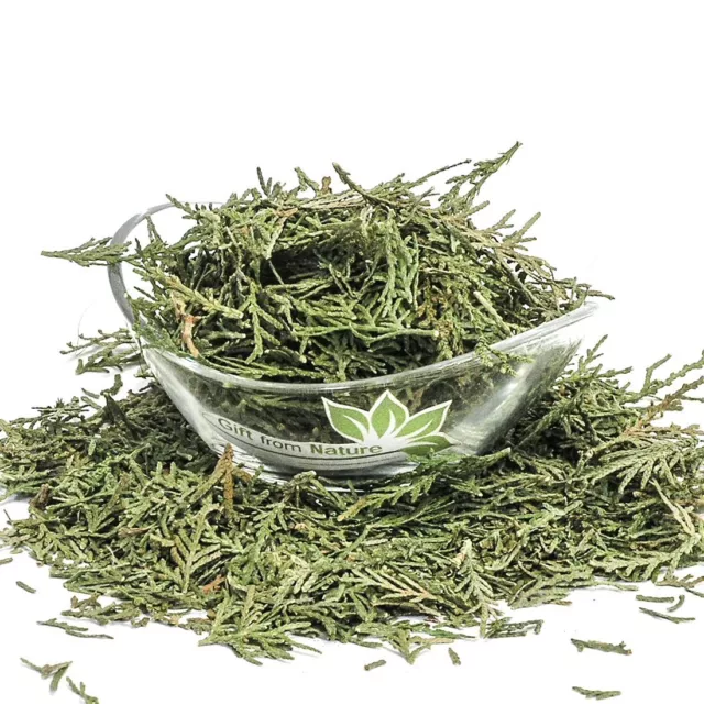 THUJA Leaf Dried ORGANIC Bulk Herb,Thuja orientalis Folia