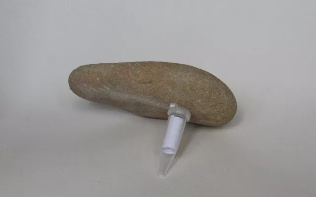 Disguised Rock Geocache Geocaching