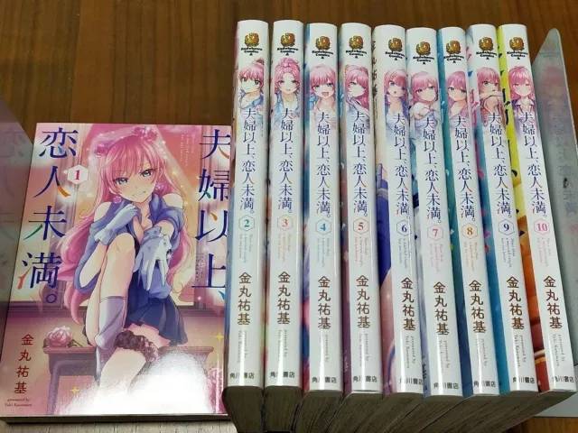 Fuufu Ijou, Koibito Miman Vol. 1-9 BD Set Version Japonaise Manga livres  d'occas