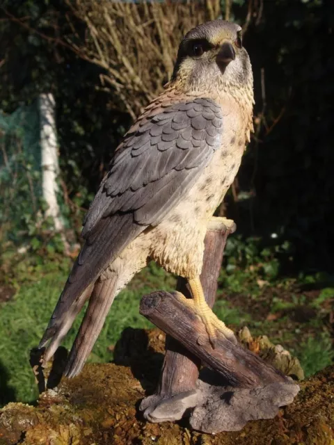 Turmfalke Adler Deko Figur 31cm lebensecht Falke Greifvögel Gartenfigur Hotant