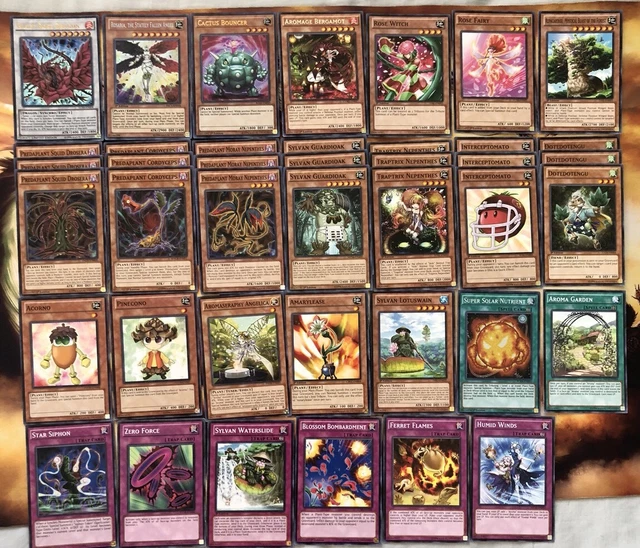 YUGIOH PLANT DECK - 41 Cards - Mint/NM - Black Rose Dragon -Sylvan - Aromage $19.99 - PicClick YUGIOH PLANT DECK - 41 Cards - Mint/NM - Black Rose Dragon -Sylvan - Aromage $19.99 - PicClick