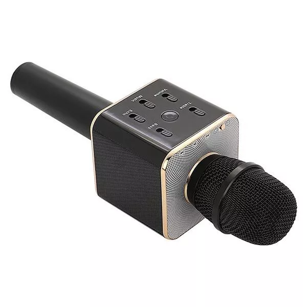 ERAY Microphone Karaoke Bluetooth with Built-in Double Speaker