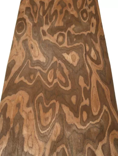 Chapa de madera de raíz palisandro SaRaiFo Maser 250x30-32cm palo de rosa burl wood