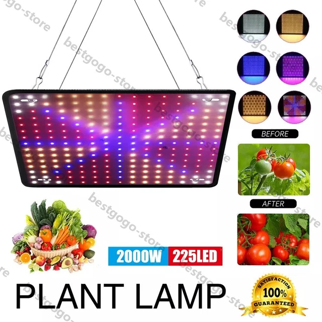 2000W LED GROW Light for Indoor Plants Growing Lamp 225 LED Full ...