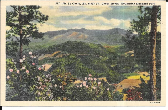 Vintage Unused Linen Postcard MT. LE CONTE, ALT. 6,593 FT. GREAT SMOKY MOUNTAINS