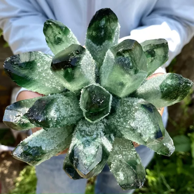 2.53LB New Find Green Phantom Quartz Crystal Cluster Mineral Specimen Healing