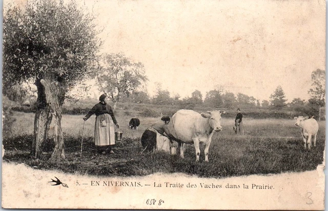 58 - En nivernais - la traite des vaches dans la prairie
