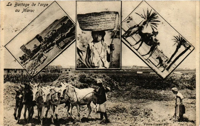 CPA AK MAROC Le Battage de l'orge (219097)
