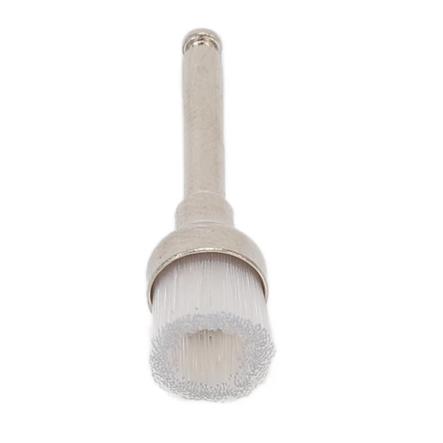 Brosse De Polissage Des Dents Brosse De Polissage Dentaire 100 Pièces Pour