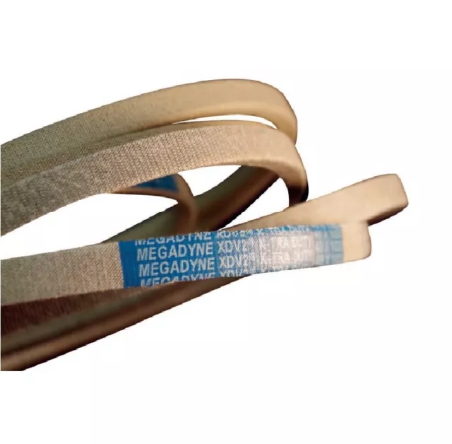 XDV48/580 Megadyne OLEOSTATICÂ®   Lawn Belt Power Transmission Belt