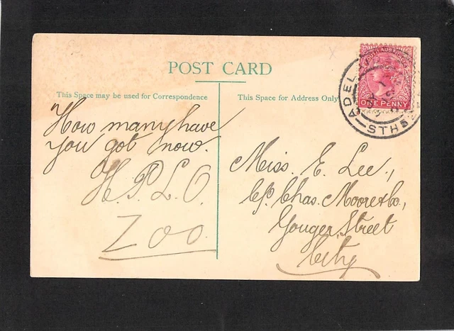 A5499 Australia SA Adelaide Botanic Park pu1907 vintage postcard 2