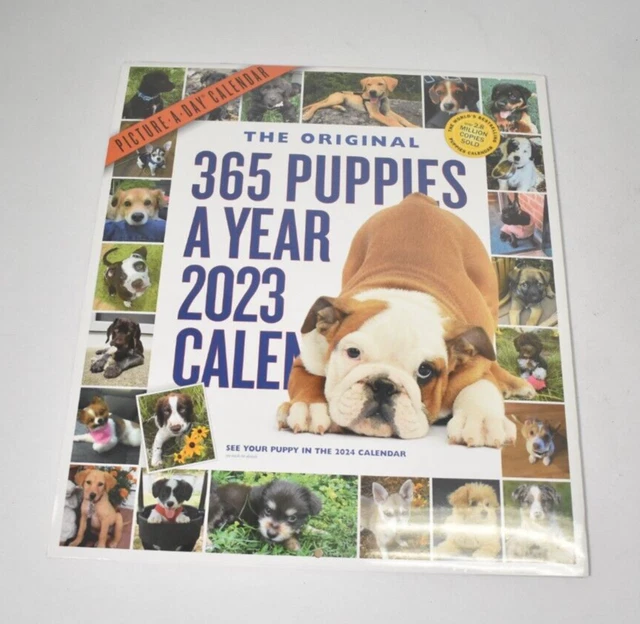 365 PUPPIES A Year Picture A Day Wall Calendar 2023 By Workman
