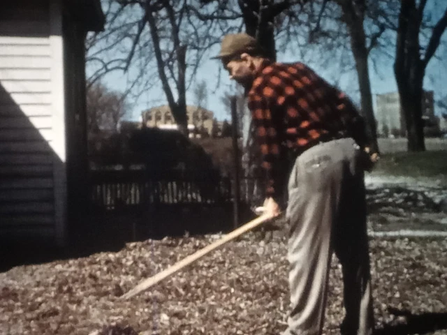 Mr. And Mrs. Robin's Family, Coronet, Kodachrome, 1957, 16mm, 400ft Reel