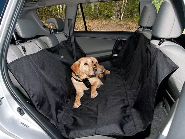 PARENCE.- Housse de Siège de Voiture pour Chien - Tapis de Protection pour An...