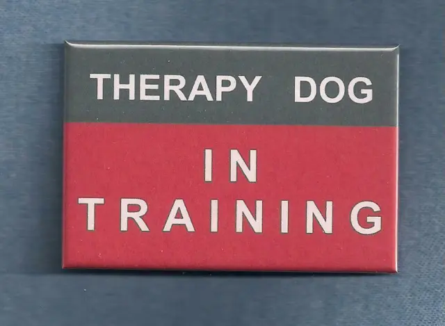 THERAPY DOG IN TRAINING  - therapy dog vest button w/pin back