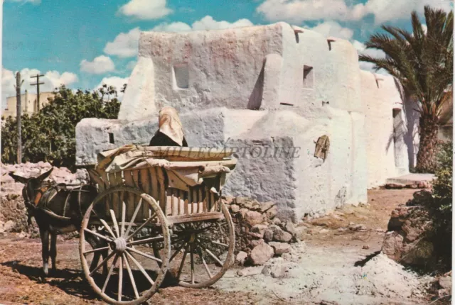 SPAIN - Ibiza - Construccion y Vehiculo Tipicos 1965