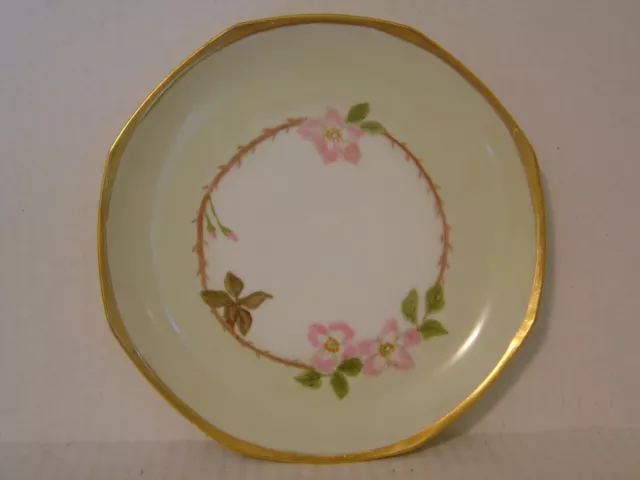 Vintage M Z Altrohlau Cmr Hand Painted Plate Czechoslovakia Green & Pink Floral